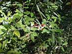 DSCN3104.jpg