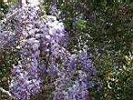 DSCN3107.jpg