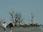 DSCN3128.jpg