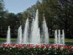 DSCN3166.jpg