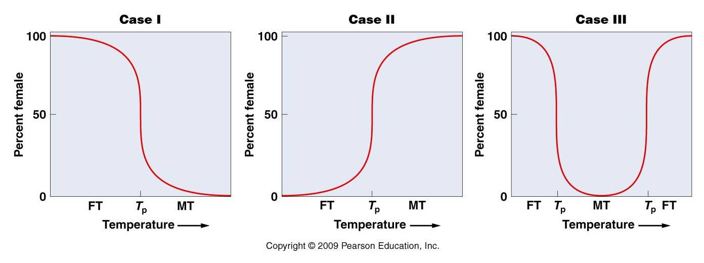 Temperature Sex Determination 121